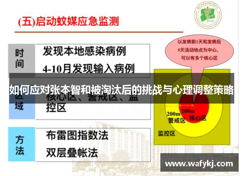 如何应对张本智和被淘汰后的挑战与心理调整策略