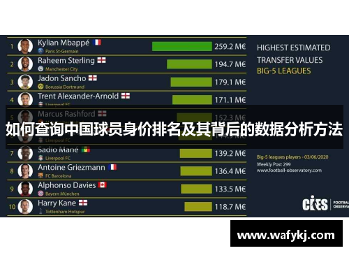 如何查询中国球员身价排名及其背后的数据分析方法