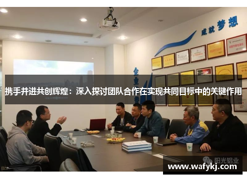 携手并进共创辉煌：深入探讨团队合作在实现共同目标中的关键作用