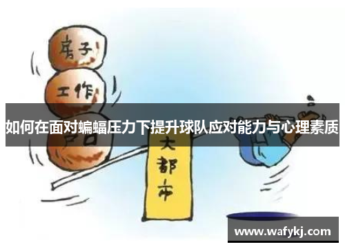 如何在面对蝙蝠压力下提升球队应对能力与心理素质