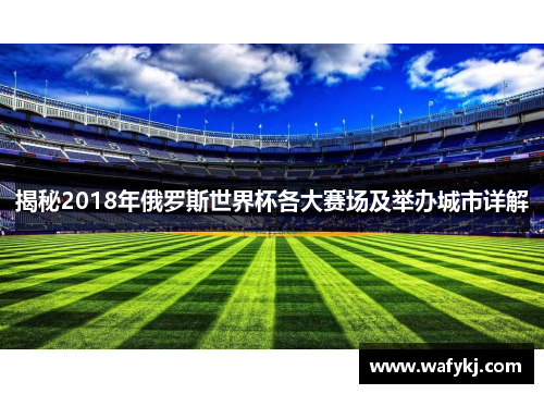揭秘2018年俄罗斯世界杯各大赛场及举办城市详解