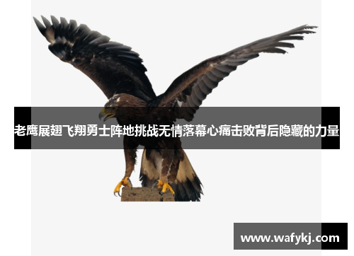 老鹰展翅飞翔勇士阵地挑战无情落幕心痛击败背后隐藏的力量