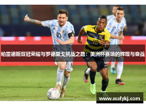 帕雷德斯双冠荣耀与罗德里戈挑战之路：美洲杯赛场的辉煌与奋战