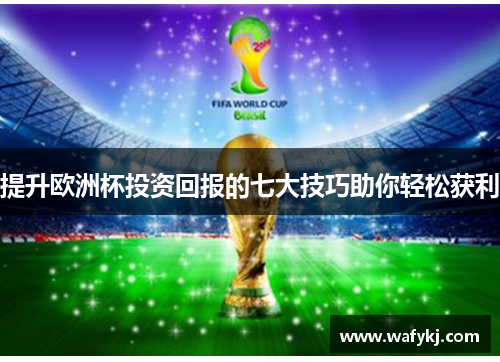 提升欧洲杯投资回报的七大技巧助你轻松获利 提升欧洲杯投资回报的七大技巧助你轻松获利