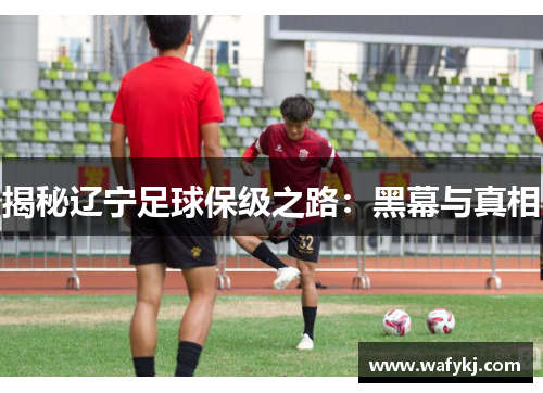 揭秘辽宁足球保级之路:黑幕与真相 揭秘辽宁足球保级之路:黑幕与真相