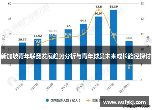 新加坡青年联赛发展趋势分析与青年球员未来成长路径探讨